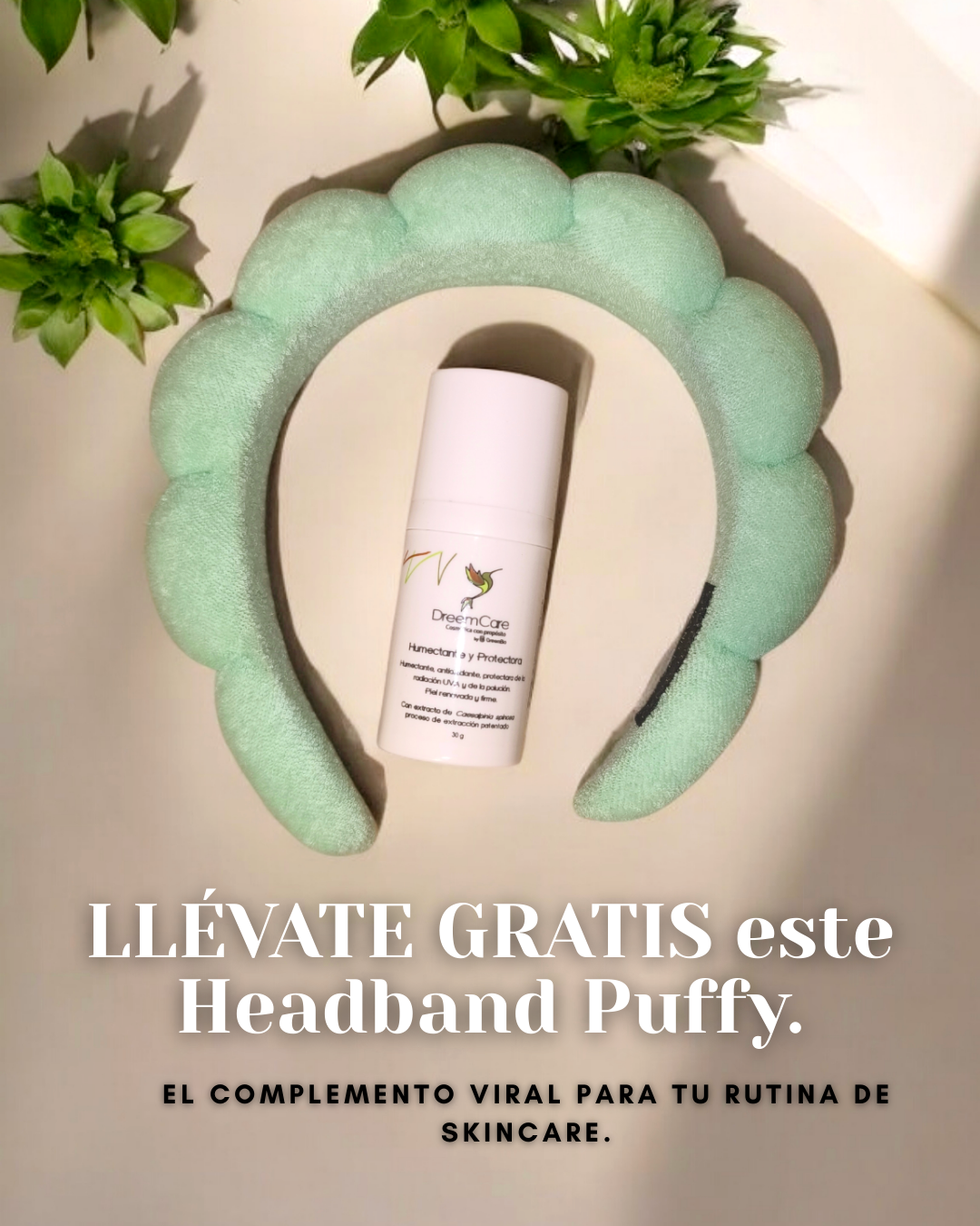 Dreemcare crema antiage + Regalo Navidad